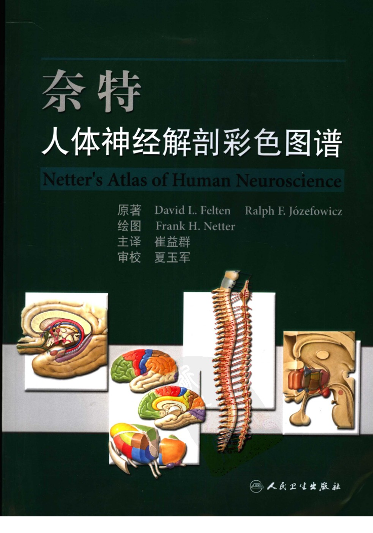 奈特人体神经解剖彩色图谱-2006.pdf