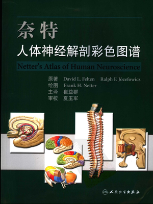 奈特人体神经解剖彩色图谱-2006.pdf