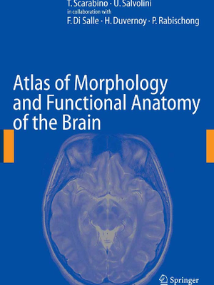 Atlas of Morphology and Functional Anatomy of the Brain.pdf