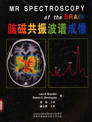 脑磁共振波谱成像－刘筠译.pdf